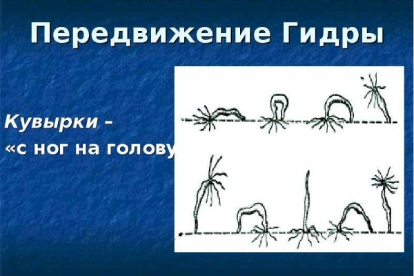 Кракен официальный сайт онион