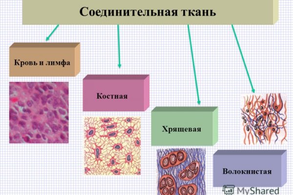 Кракен телегрф